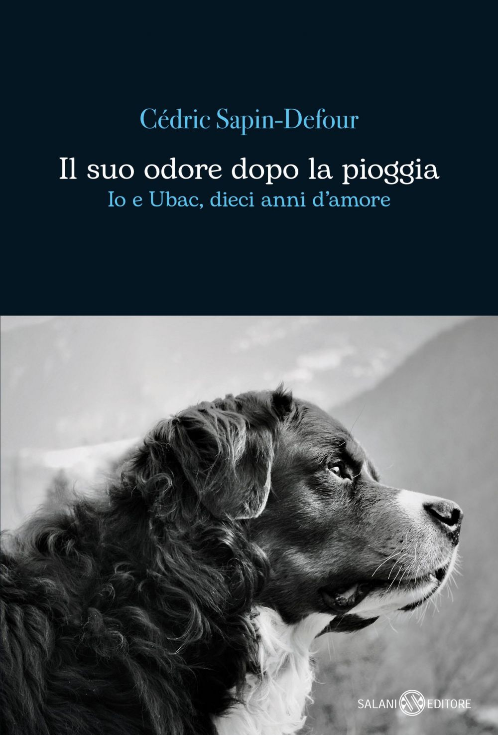 Copertina prodotto PDF8831021579