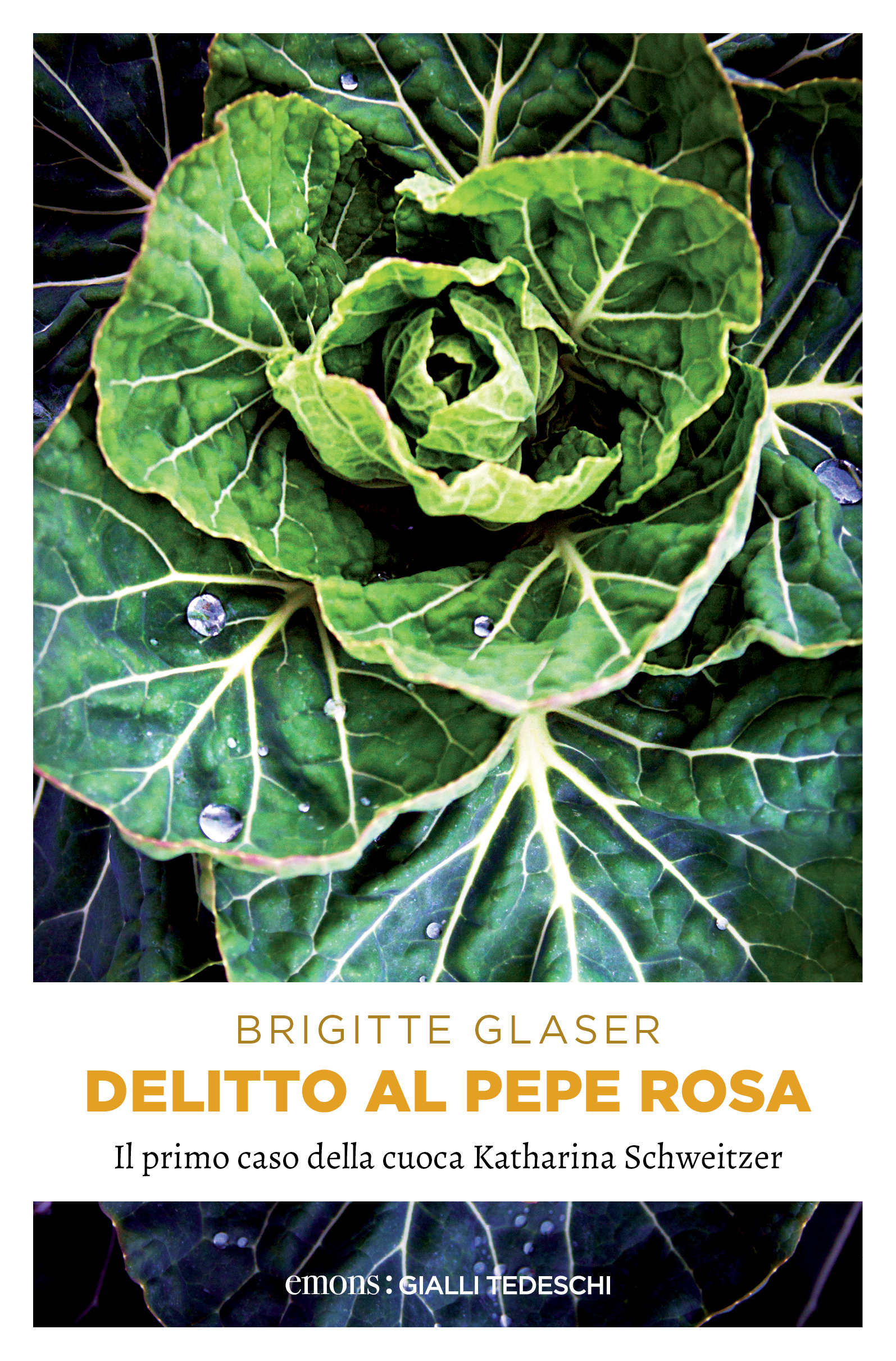 Copertina per ISBN 9783863589097