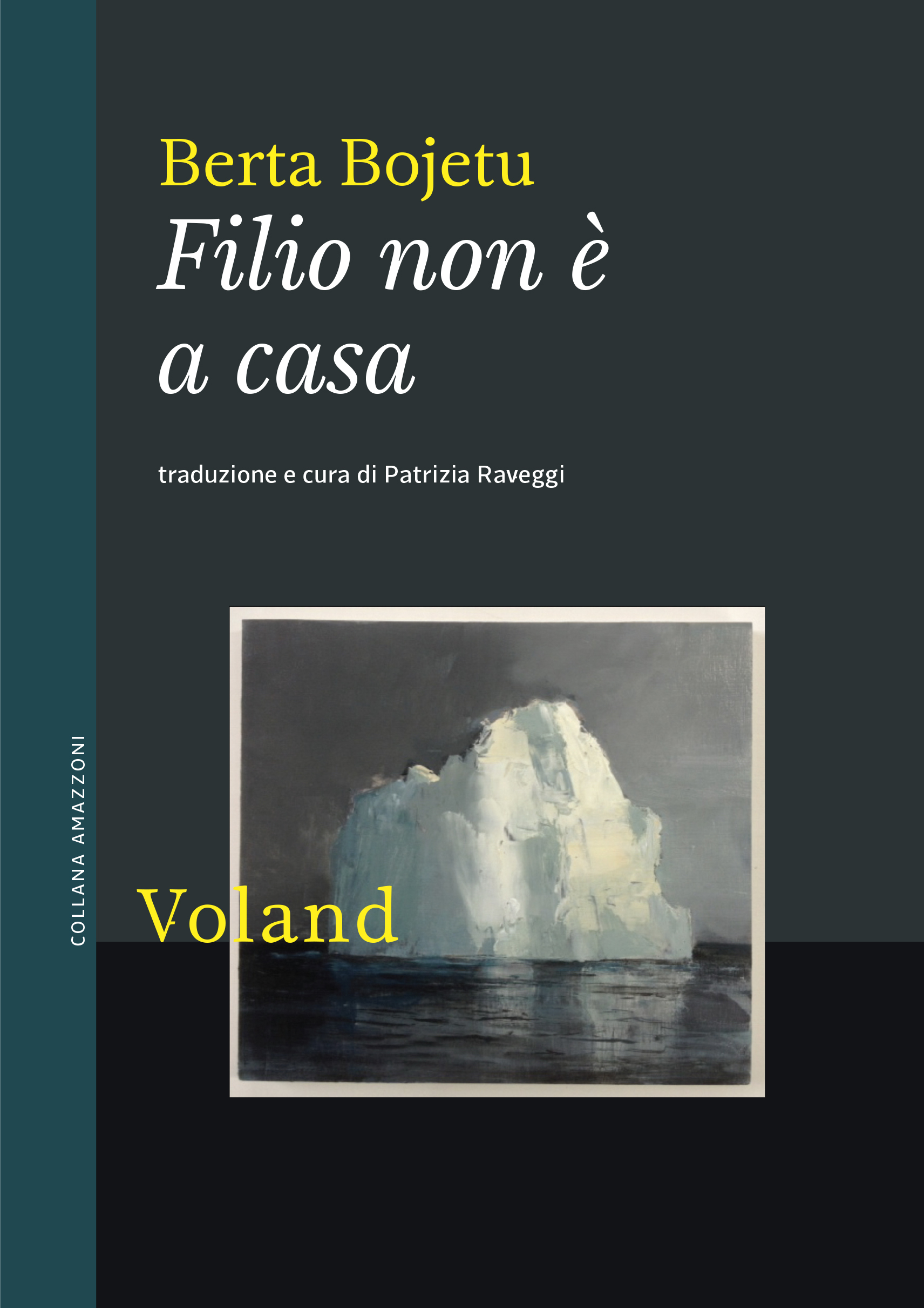 Copertina per ISBN 9788862435857