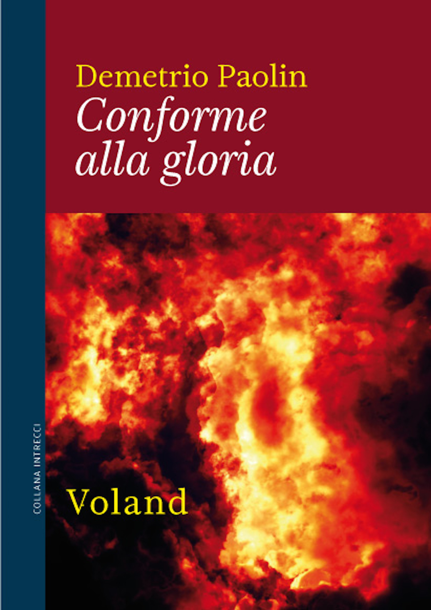 Copertina per ISBN 9788862432047