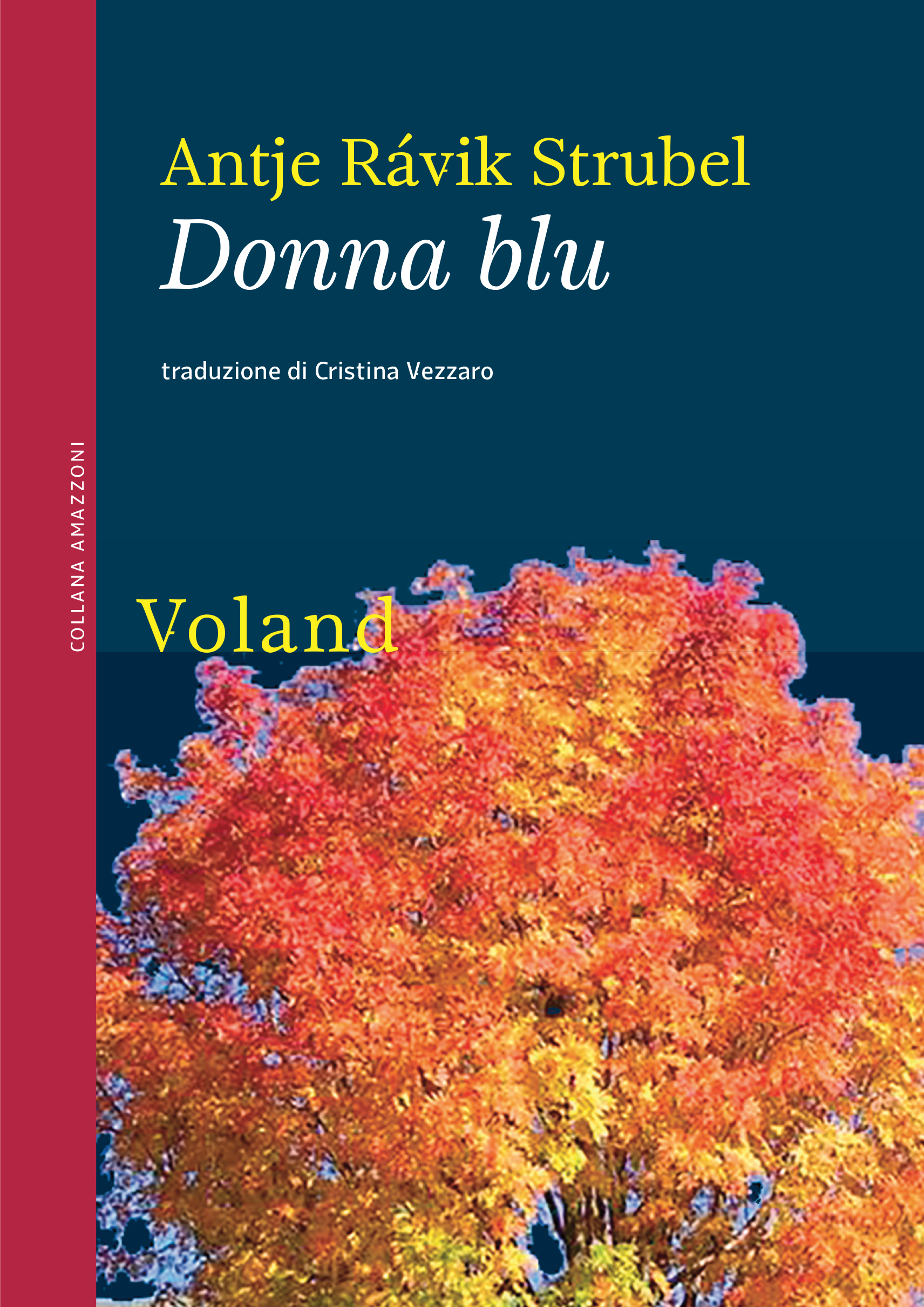 Copertina per ISBN 9788862435949