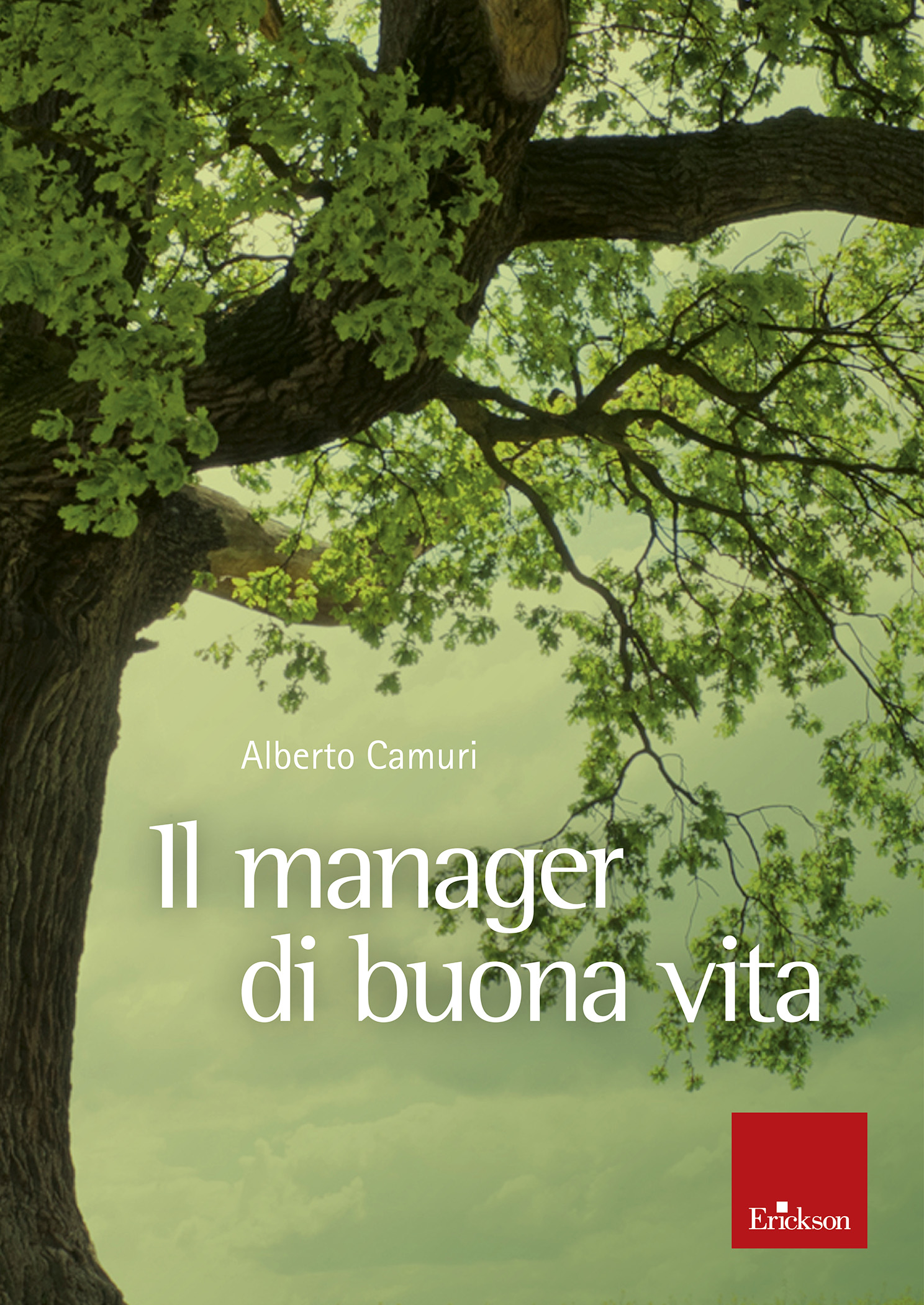 Copertina per ISBN 9788859030355