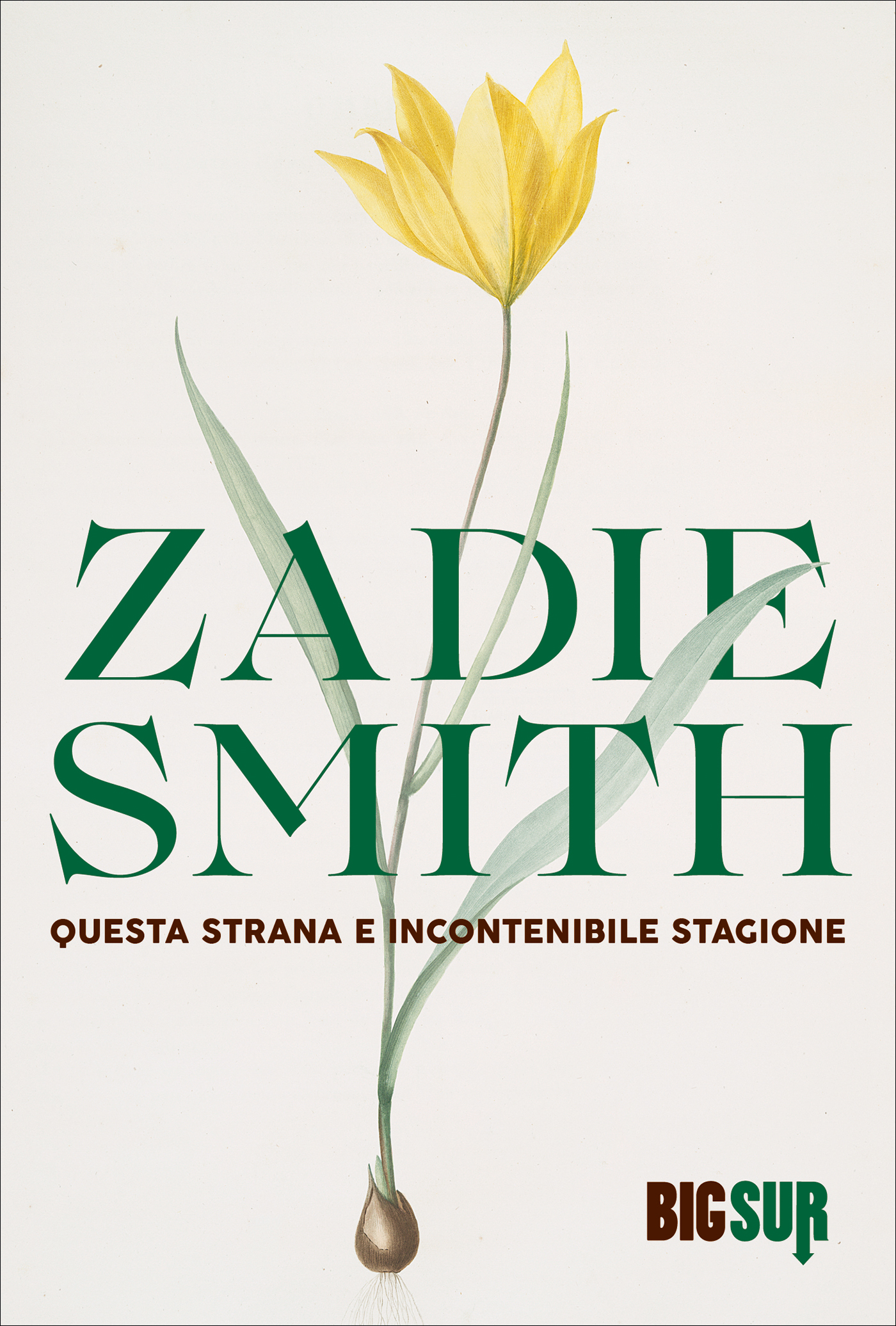 Copertina per ISBN 9788869982408