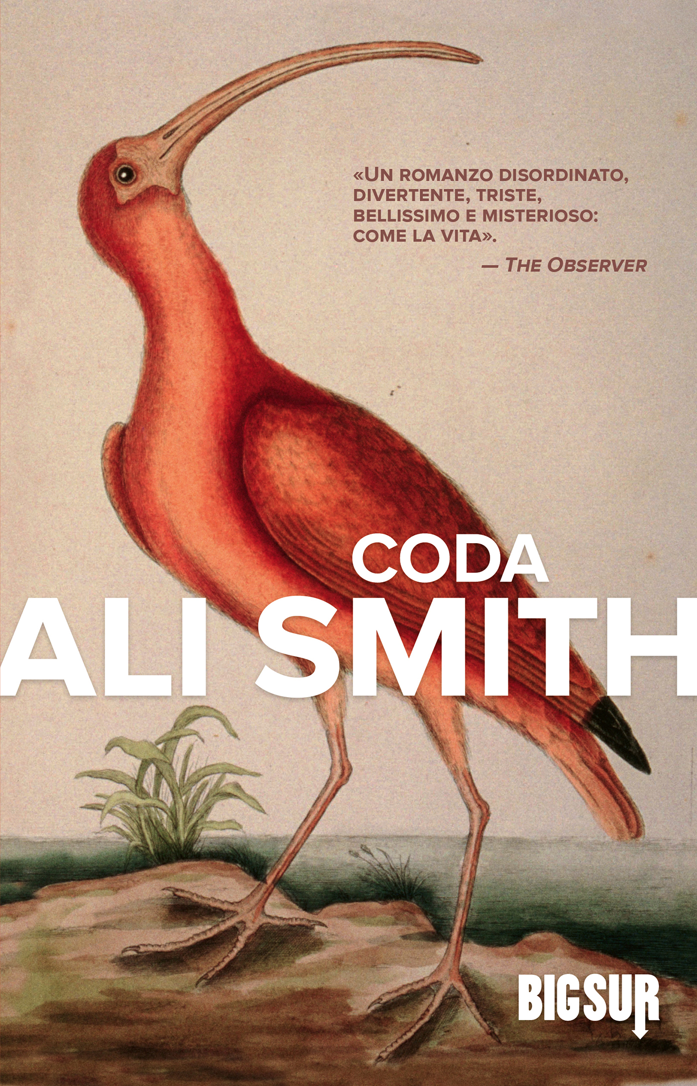 Copertina per ISBN 9788869983726