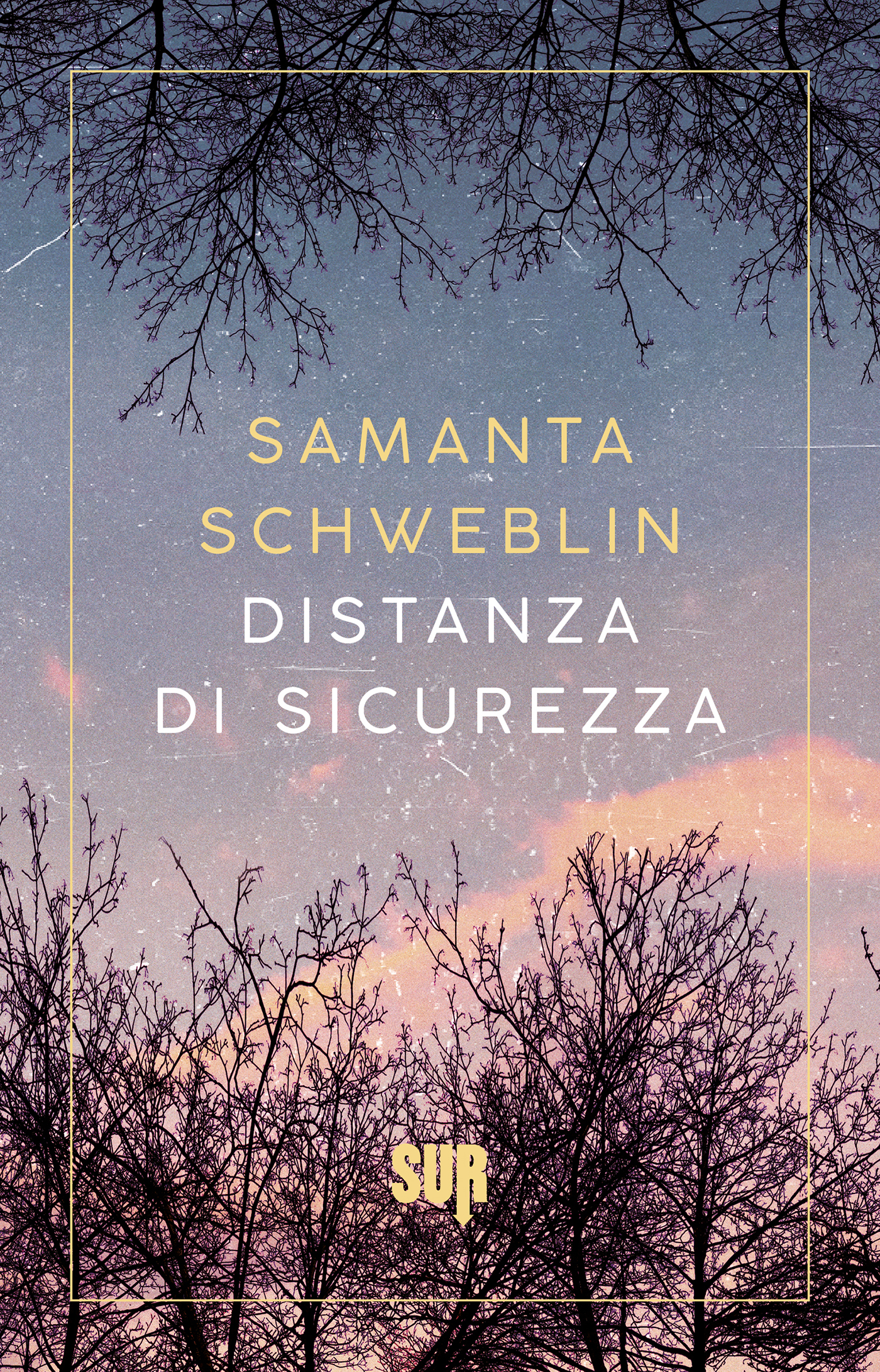 Copertina per ISBN 9788869982347